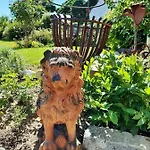 玫瑰园旅馆 招待所 Franking