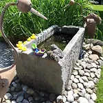 玫瑰园旅馆 Franking