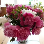 玫瑰园旅馆 招待所 3*