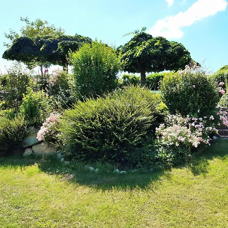 Hotel/pension Rosengarten 게스트하우스