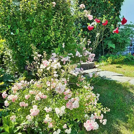 Hotel/pension Rosengarten Guest house 3*