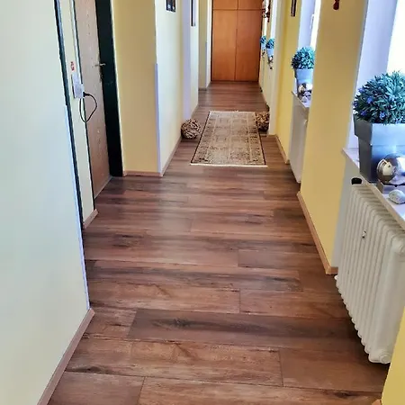 Guest house Hotel/pension Rosengarten Franking