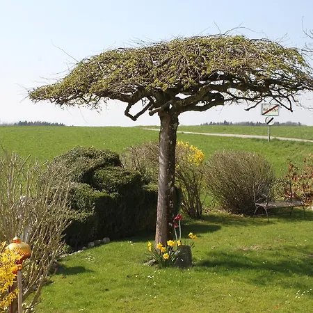 Hotel/pension Rosengarten 게스트하우스 3*