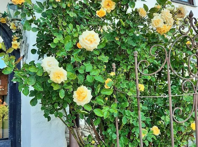 Hotel/pension Rosengarten