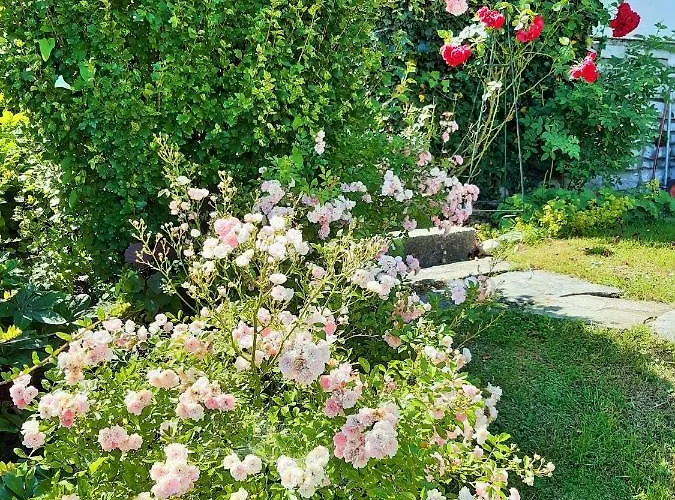 Hotel/pension Rosengarten 게스트하우스 3*