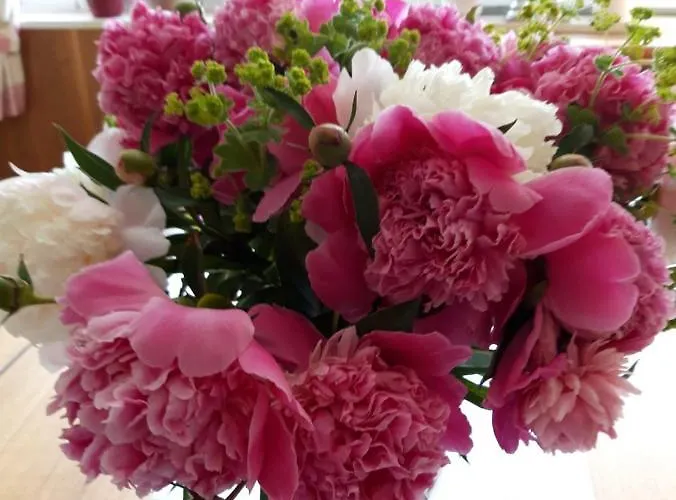 Hotel/pension Rosengarten Konukevi 3*