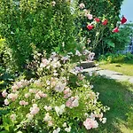 Hotel/pension Rosengarten Penzion 3*