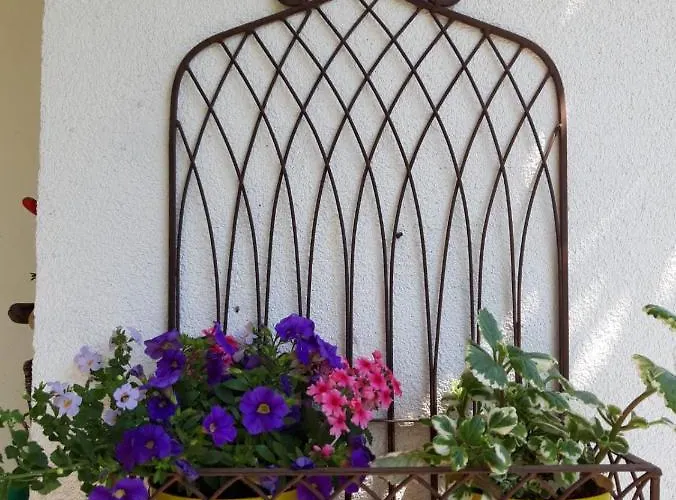 Hotel/pension Rosengarten بيت ضيافة 3*