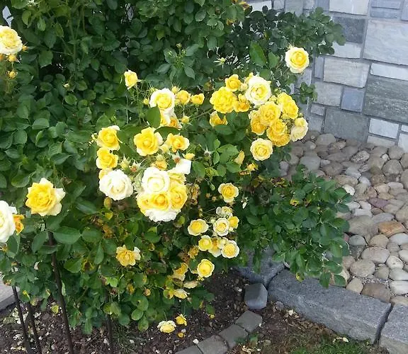 Hotel/pension Rosengarten Franking